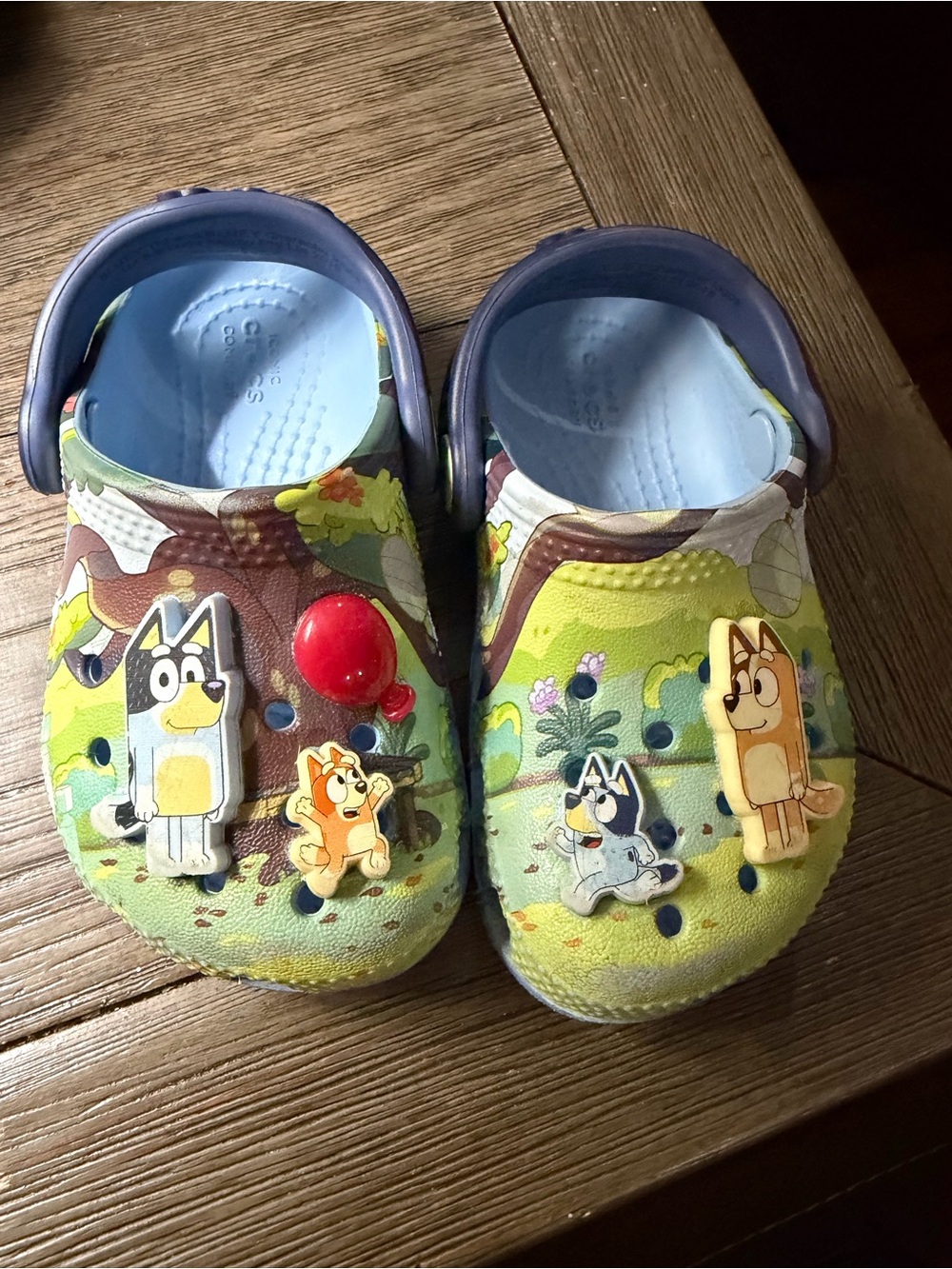 CROCS Kids Green and Light Blue Bluey Character Clogs